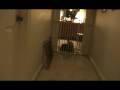 videos de Escape Artists