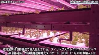 大阪府大、植物工場公開（動画あり）