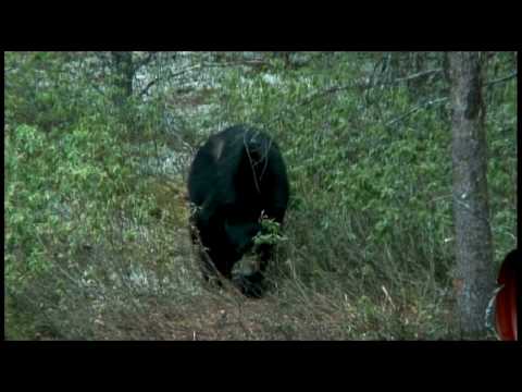 Outdoor Passion (Eng) - Part 3