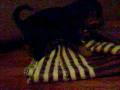 videos de 100_4483.MOV