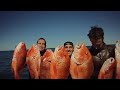 Spearfishing Downunder Magazine TV #34 Preview