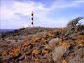 Photos, with narration, of some of our walking route alternatives on southern Tenerife. Photos of some plants endemic to Tenerife and the Canary islands.