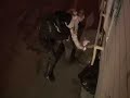 Night Warrior - When you litter in SF - XingKai Wu