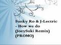 Funky Ro & J-Lectric - How we do (JoeySuki Remix) (PROMO)