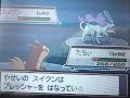 ポケモン　ソウルシルバー　vsスイクン
