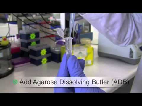 how to recover dna from agarose gel