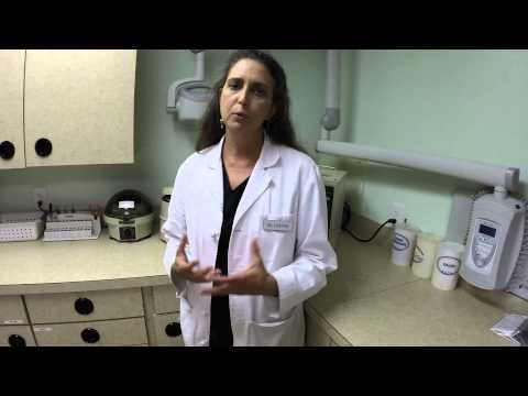 how to perform cystocentesis dog