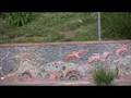 videos de elect don mosier