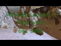 1 Skill Droks Run.wmv