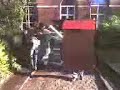 Tortue dans le jardin