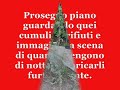 Discarica abusiva Avezzano