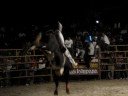 jaripeo en TLACOCHAGUAYA OAXACA