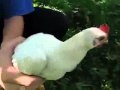 Просмотр видео