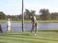 tiger woods