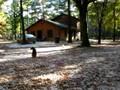 videos de Clip of cabin Area
