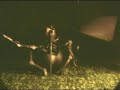 Mosquito Robot