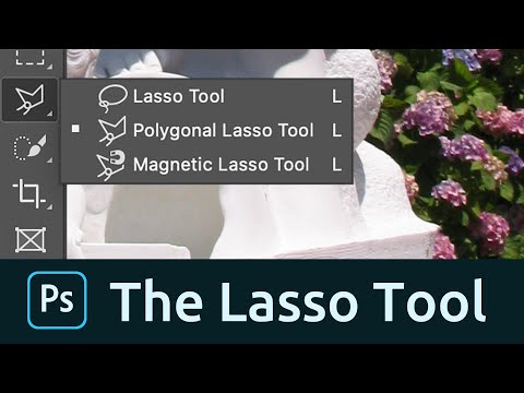 how to use the lasso tool in photoshop