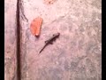 1107081504.3g2 1107081504.3g2