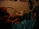 thumber the bunny