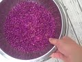 EatTheWeeds: Episode 40: American Beautyberry EatTheWeeds: Episode 40: American Beautyberry
