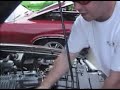 VTEC Cobra