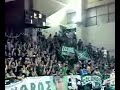 panathinaikos-gate-13-fans-chanting-diring-vollyball-match.html
