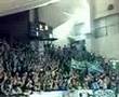 Panathinaikos Gate 13 Fans Chanting Diring Vollyball Match
