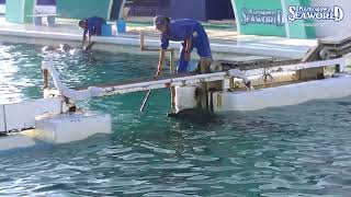 次の動画へ