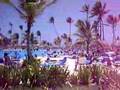more resort