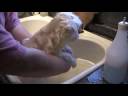 Scrub A Dub Pink.mpg Scrub A Dub Pink.mpg