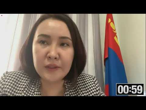 С.Эрдэнэ: Монгол Улсын Үндсэн хуульд өөрчлөлт, шинэчлэлт хийх зайлшгүй шаардлагатай