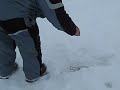 Ice Fishing Northern Pike Mark Oswald
