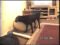 bowser and the fart machine