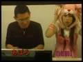 ラタトゥイユ動画2