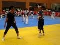 one arm fighter vs hadi saei