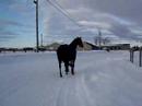 Azimut et moi sur le chemin vers l\ Azimut et moi sur le chemin vers l\