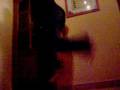 videos de FASHTESK TRAILER 1 POUR DERNIERE VIDEO