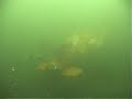 one man submarine