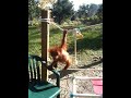 Playtime!
