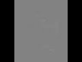 L\