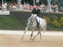 Becky Holder & Courageous Comet  Rolex 2008