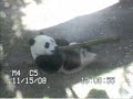 Bai-Yun-and-Zhen-Zhe