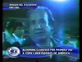 Bloomin clasificacion libertadores a�o 1982 en cbba