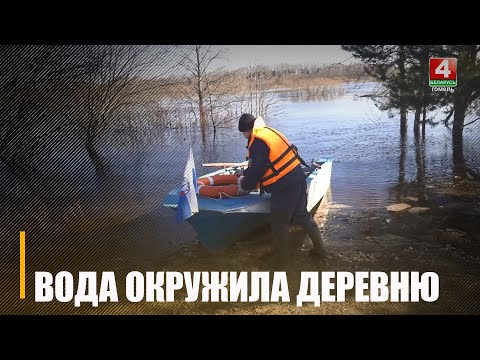 В Ветковском районе ОСВОД организовал лодочную переправу видео