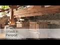 Loreleyfelsen Piesport Touristinformation und Ortsgemeinde Piesport