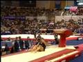 Mens Gymnastics Falls