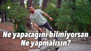 Ne yapacağını bilmiyorsan Ne yapmalısın?