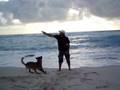 videos de Frisbee Dog