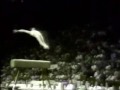 AMAZING - Nadia Com�neci  - Muzica Elektronica - montage?
