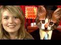 Meme Molly, Cats, Halloween : Reel Good Show